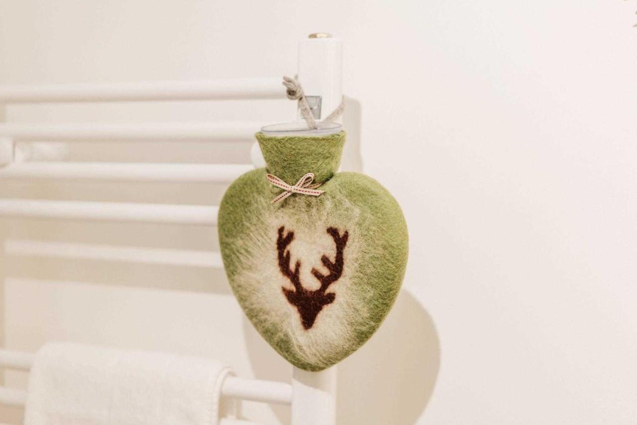 Hyggeglueck Braunlage Apartment ภายนอก รูปภาพ